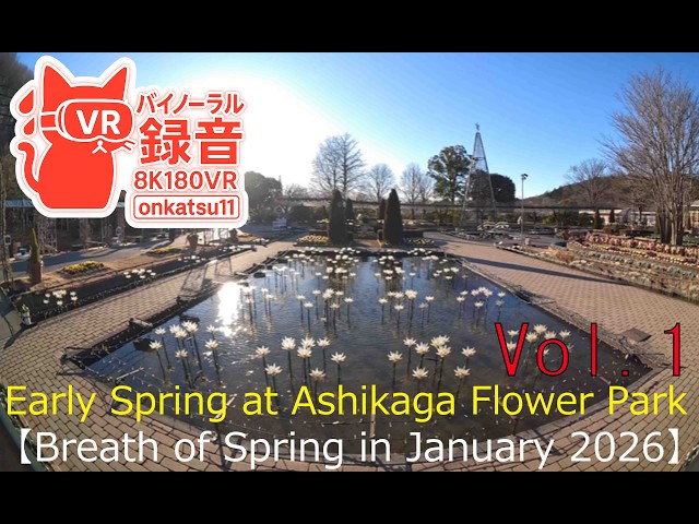 [8K VR180]🌱[Early Spring at Ashikaga Flower Park—Breath of Spring in January 2026]①