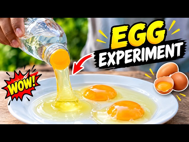 Egg in a bottle  experiment @sixsciencesisters