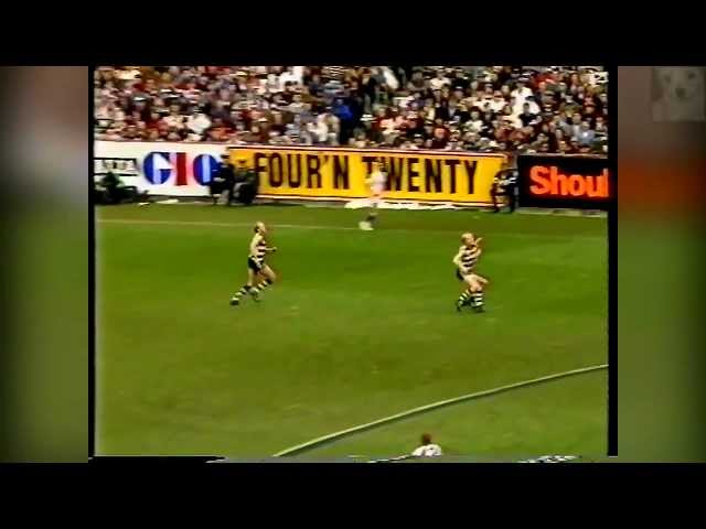 West Coast Eagles vs Geelong AFL Grand Final 1994 (first half 2/2)