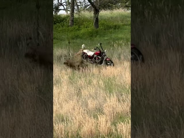 I guess I’ll have to get rid of the bike then…