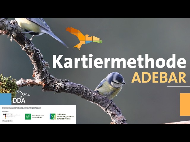 Atlas of German Breeding Bird Species (ADEBAR) – "ADEBAR List" Mapping Method