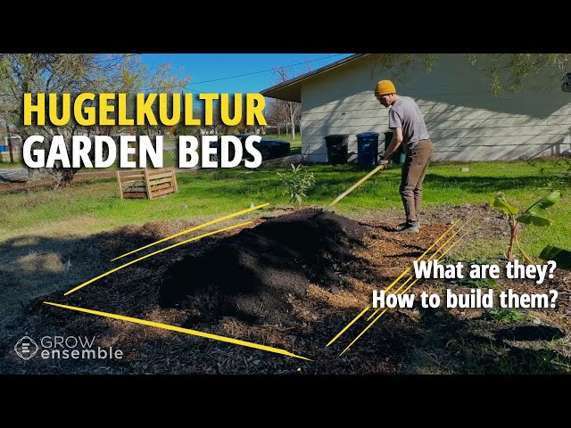 How to Build Hugelkultur Raised Garden Beds for a More Productive Garden