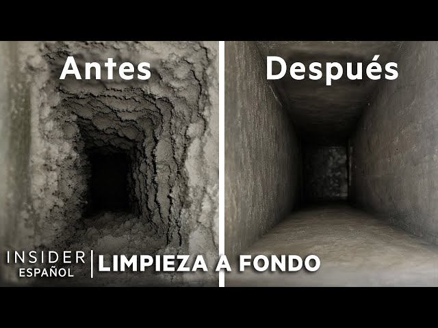 Limpieza profesional de polvo de hace 47 años | Limpieza a fondo | Insider Español