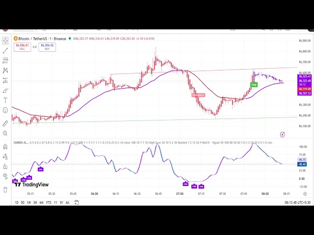 Bitcoin Live Educational Alert Signals | Long & Short Using Sumbix Algo