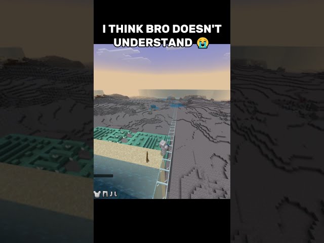 I THINK BRO DOESNT UNDERSTAND #camouflage #minecraft #gaming #funny