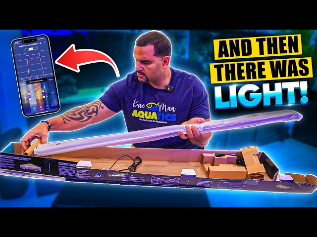 Building a Saltwater Tank for Cheap (The Light That Changed Everything)