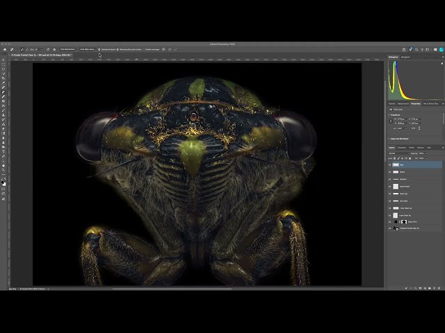 Behind the Edit: Cleaning Up a Cicada Macro - Here You Go Jean!