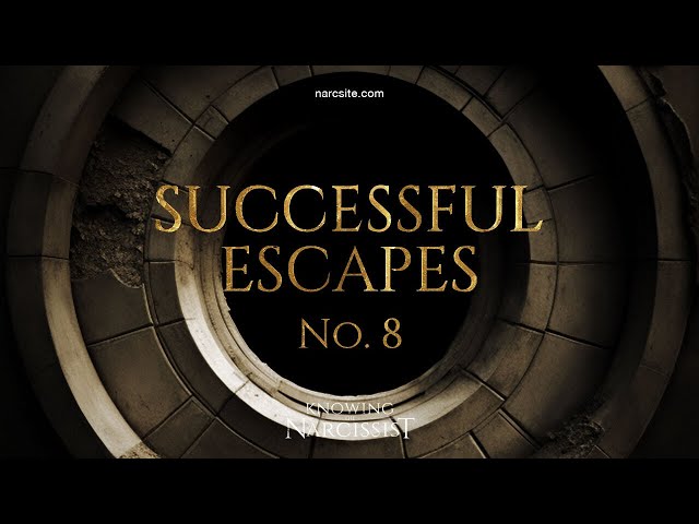Successful Escapes : 8
