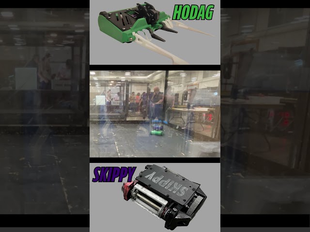 Can I beat Skippy this time?