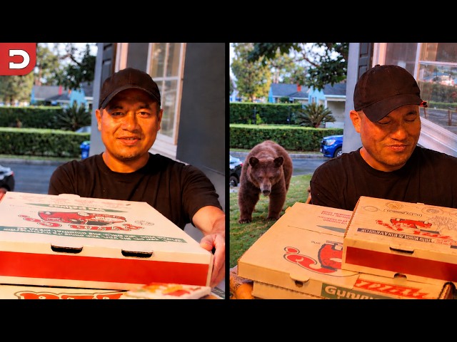 Bear Sneaks Up on Delivery Guy