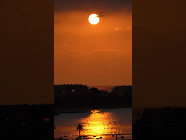 Claim your place in the sun