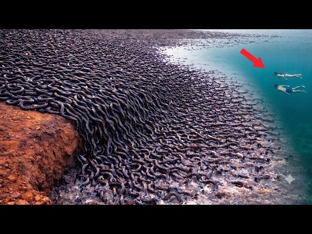 550 Strange Things Happening Right Now Around the World | One In a Billion Moments In Nature!