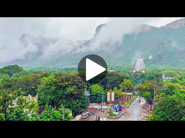 ತಿರುಮಲ ಬೆಟ್ಟದ ಮುಂಜಾನೆಯ ರಮಣೀಯ ದೃಶ್ಯಗಳು | Beautiful Scene of Tirumala covered in Mist | kannadaTv