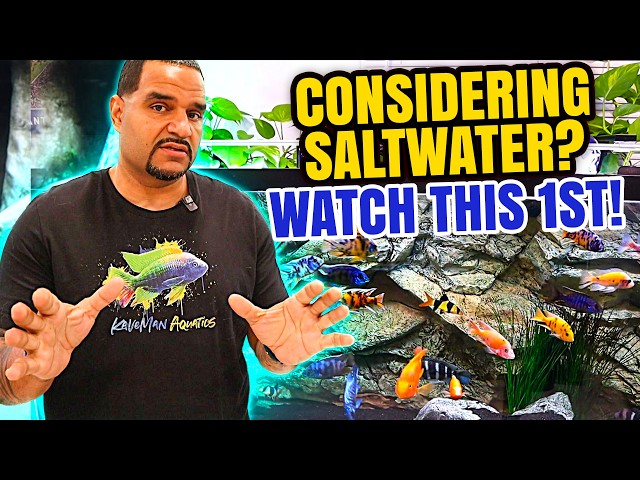 Are You Ready For Your First Saltwater Aquarium?