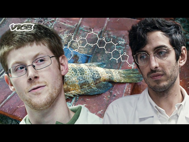 The Biology of Marine Toxins and Psychoactive Dream Fish | VICE | Blueprint