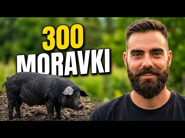 Igrao fudbal u Norveškoj, a danas gaji svinje!