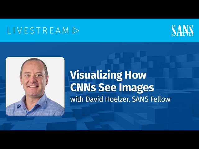 Visualizing How CNNs See Images