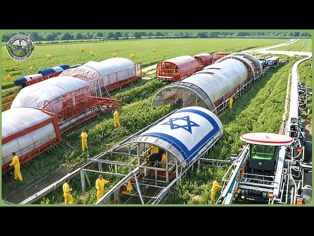 You Won’t Believe How Israel’s Modern Farming Technology Produces 6.8 Million Tons Each Year