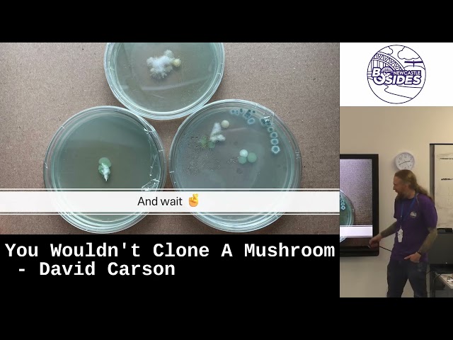 You Wouldn't Clone A Mushroom - David Carson