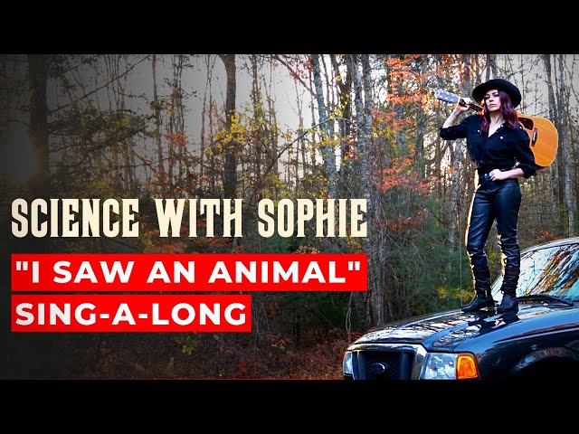 I SAW AN ANIMAL (AND I LEFT IT ALONE)  -  TIGER KING PARODY  -  MUSIC VIDEO