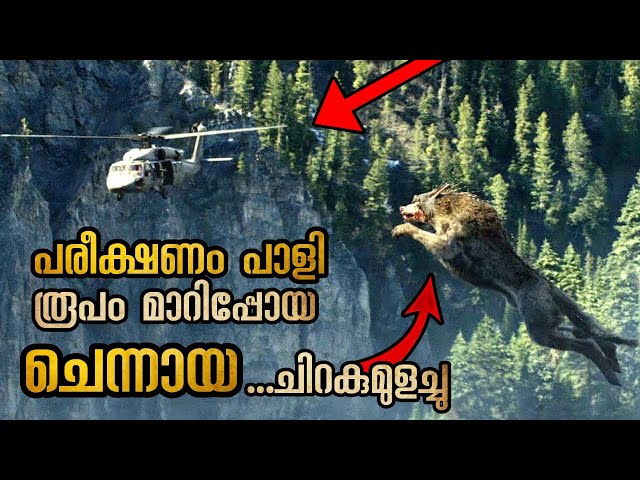പറന്നുപോകുന്ന ഹെലികോപ്റ്റർ വരെ കടിച്ചുകീറാൻ ശേഷിയുള്ള ചെന്നായ കാരണം ബഹിരാകാശത്തെ പരീക്ഷണങ്ങൾ