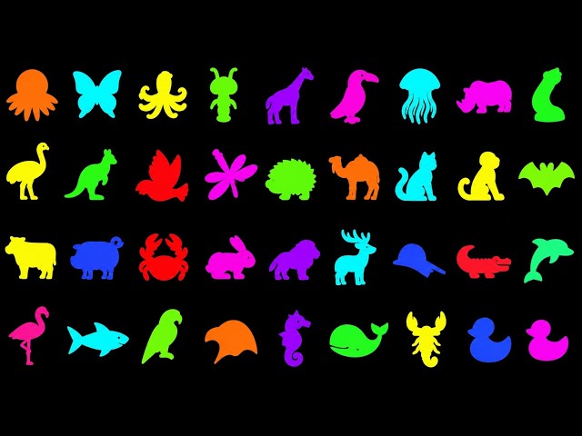 I Turned 35 Animal Shapes Into Sound (And It's Amazing)