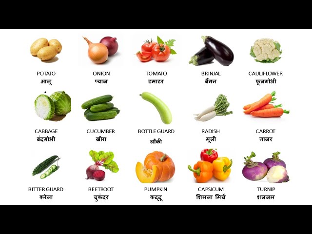 Vegetables Name English And Hindi ll सब्जियों के नाम हिंदी और अंग्रेज़ी में ll