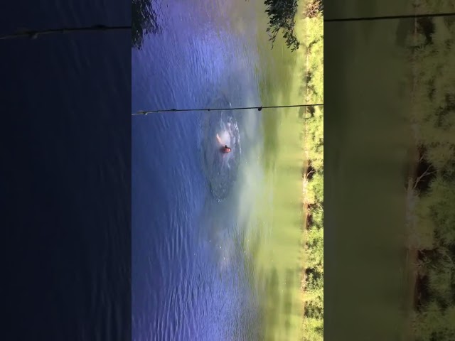 First swing