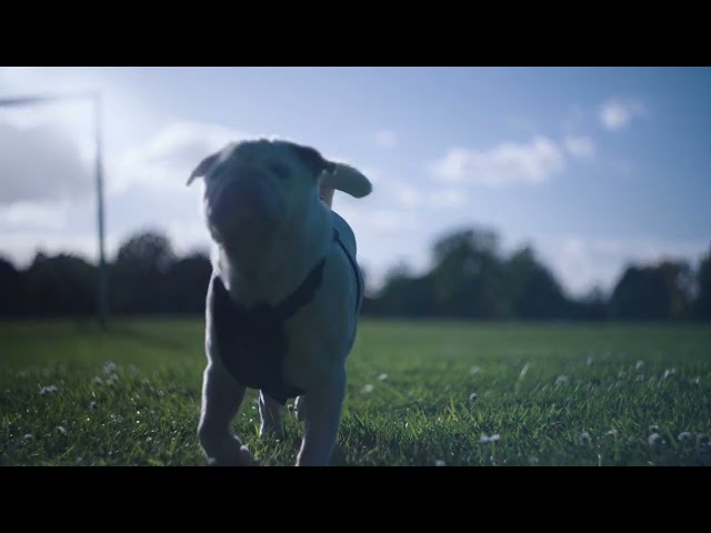 My First Day with the Sony A7CII - Northampton