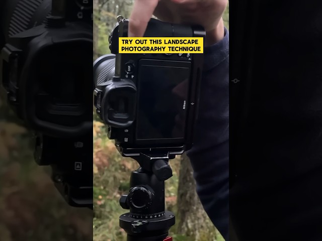 Try This Landscape Photography Technique for Sharp Photos! #photography #landscapephotography