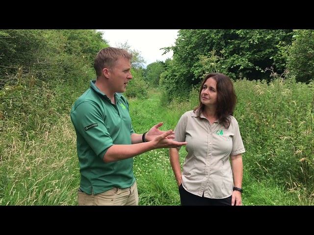 Designing a new woodland? Open habitat design is vital to attract wildlife