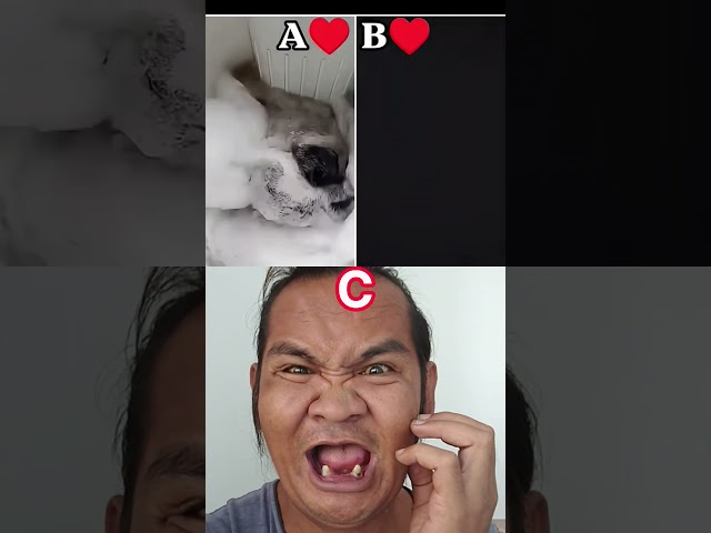 who your best #duet #funny #respect #abcd #kikakim #shorts #makeup #memes #trend #kpop
