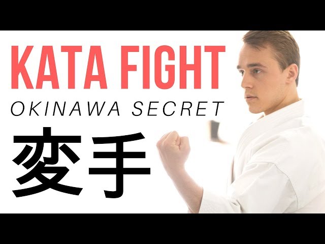HOW TO USE KATA IN A FIGHT (OKINAWAN SECRET) — Jesse Enkamp