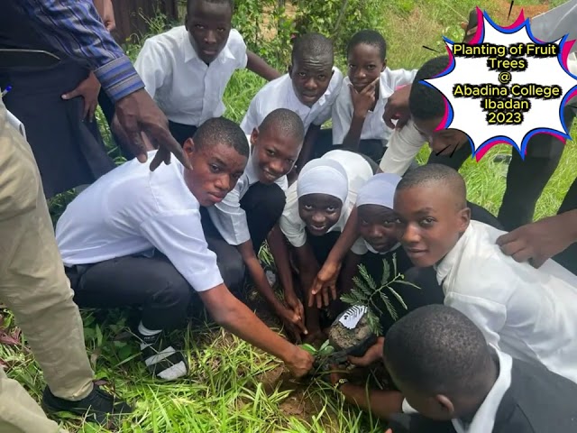 Carbon Offset Projects Africa
