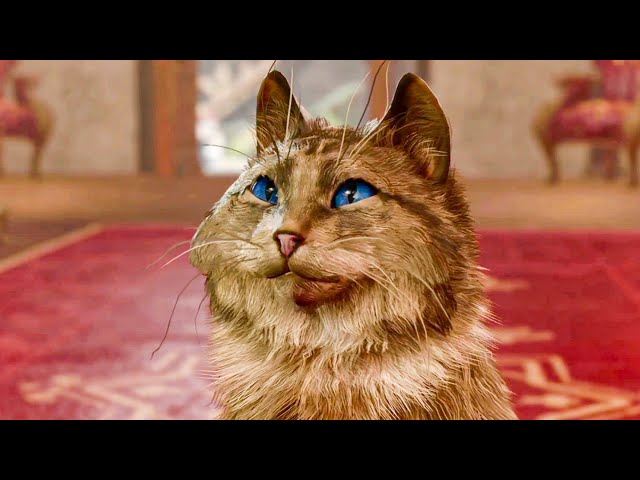 Whoever voiced this cat needs to get a raise. - Baldur's Gate 3