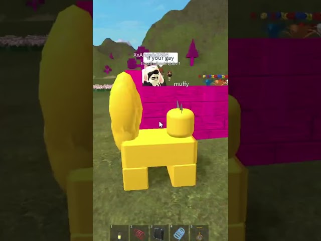 The Story of 4nn1 [A Roblox CreepyPasta]