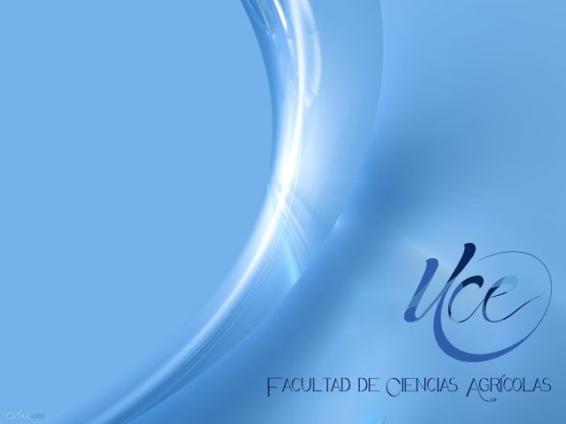 DISEÑO ANIDADO