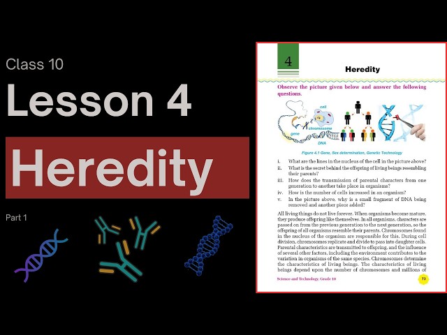 Class 10 Science Chapter 4 Exercise | Heredity | Part 1 | SEE Preparation
