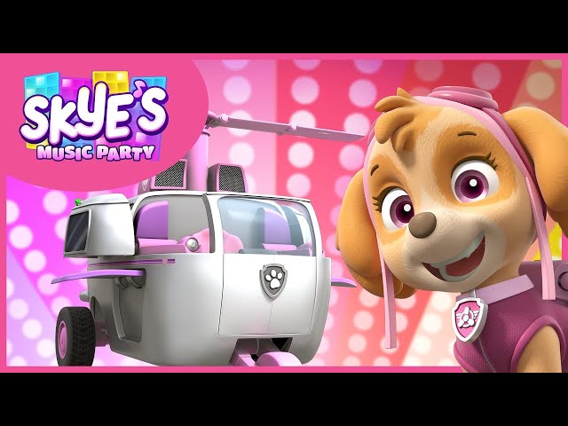 Need for Speed & MORE! - Skye's Music Party Compilation - PAW Patrol