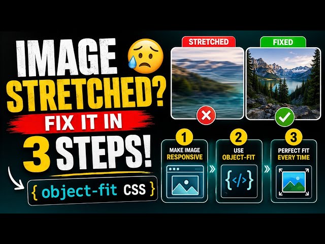 How to Fix Stretched Images in CSS | object-fit Explained for Beginners