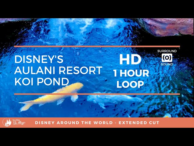Disney's Aulani Resort Koi Pond (HD) 1 Hour Loop