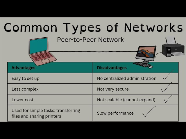 Network Components and Types