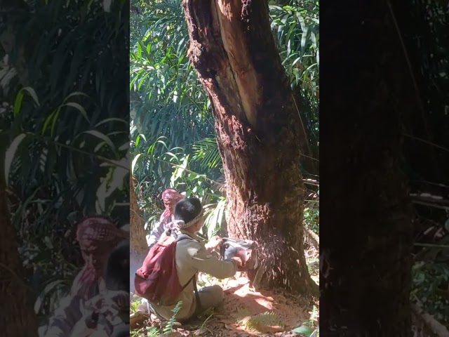 CUTTING FIREWOOD