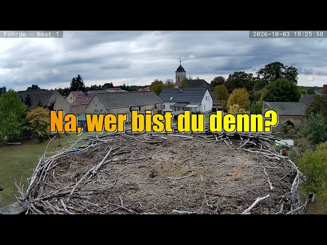 Na, wer bist du denn? - Storchennest Fohrde - 03.10.2026