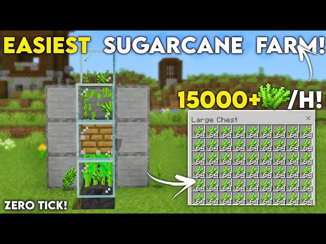 EASIEST SUGAR CANE Farm Minecraft Bedrock 1.21/26.1+!