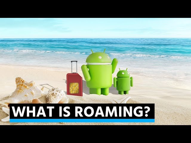 WikiPIT: What is Roaming?