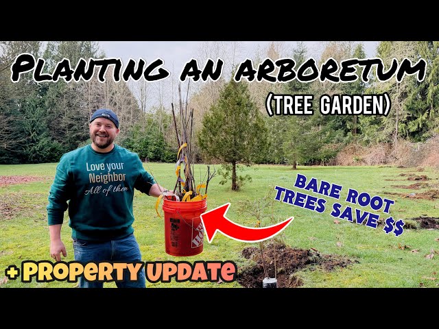 Making an Arboretum in my Backyard: Tree Garden for Wood, Fruit, Nuts, & More