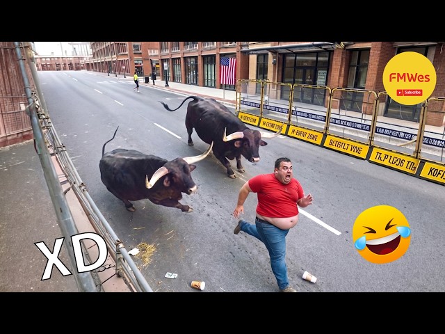 Funny Videos 🤣 If You Laugh You Lose God Level #725 😎Mexican Viral Humor🤣