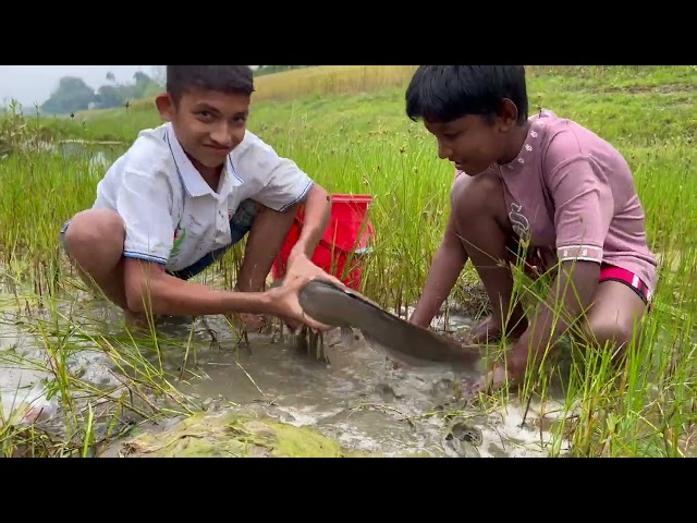 Fishing 2026: Catfish Catching with Egg by Village Boys