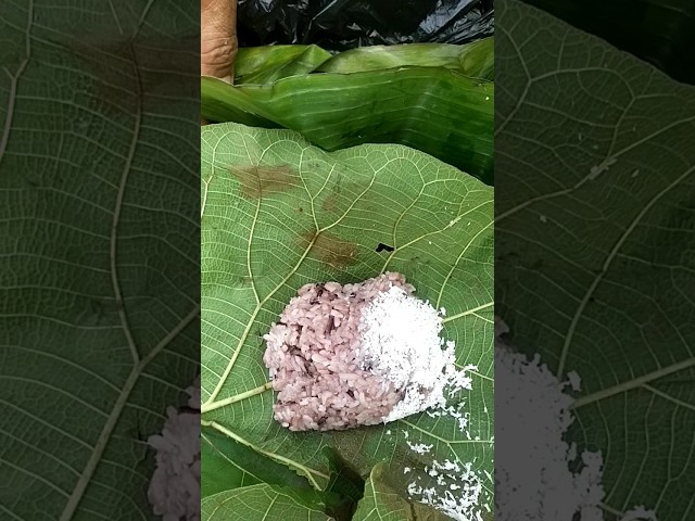#sensasi makan di #sawah saat panen padi dengan menu jajanan pasar seadaanya tapi nikmat luar biasa.